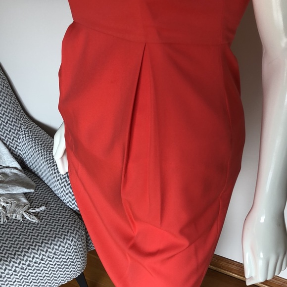 Pink Martini- Fit and Flare - Picture 8 of 12